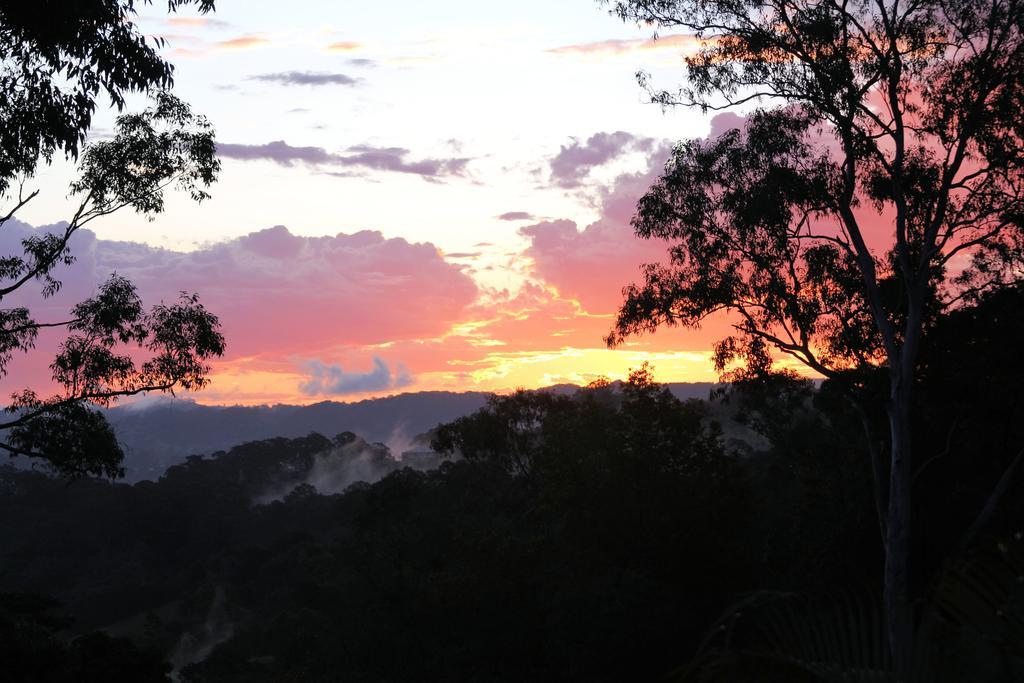 Phoenix Eumundi Bed&Breakfast Exterior foto