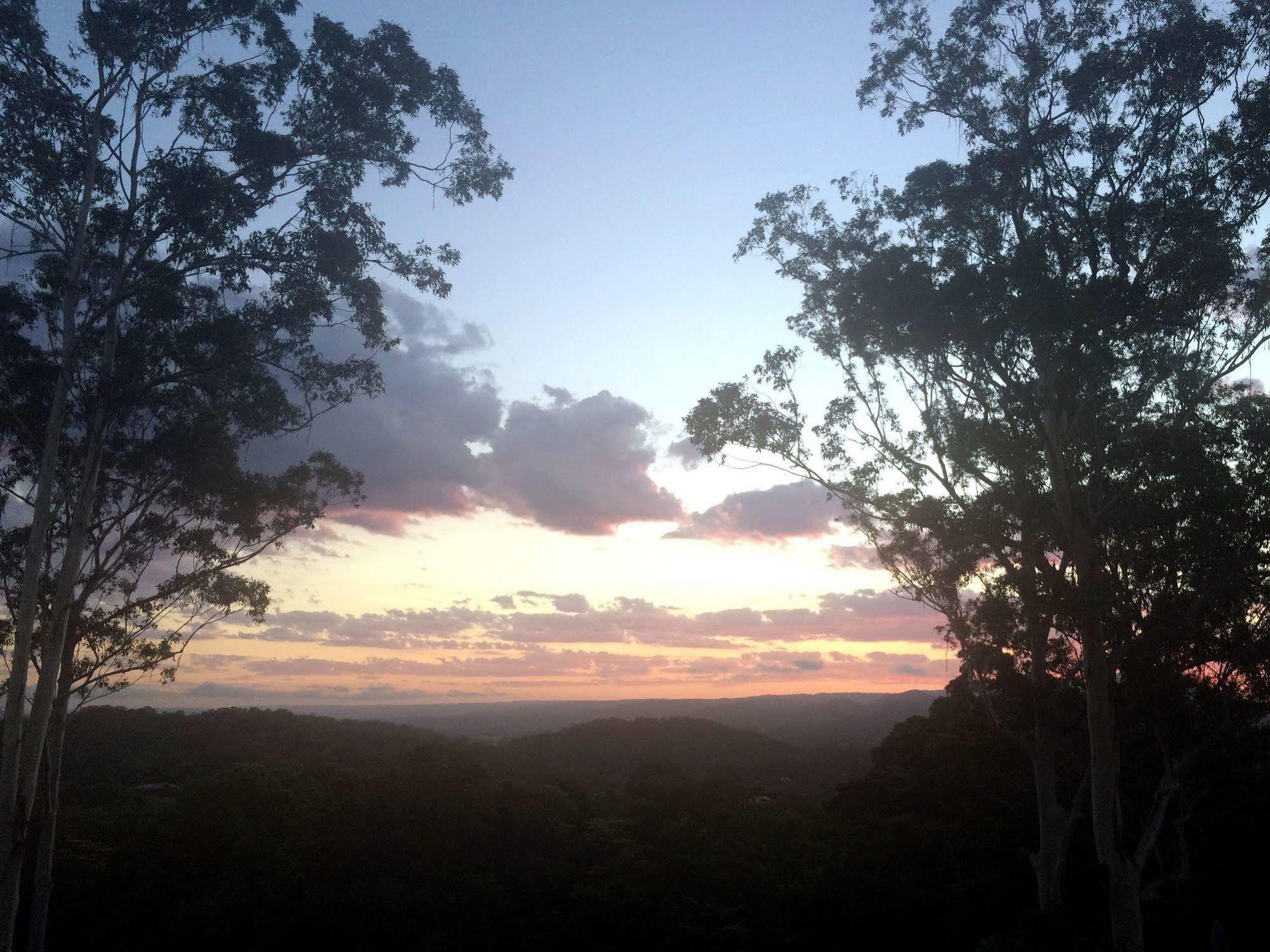 Phoenix Eumundi Bed&Breakfast Exterior foto