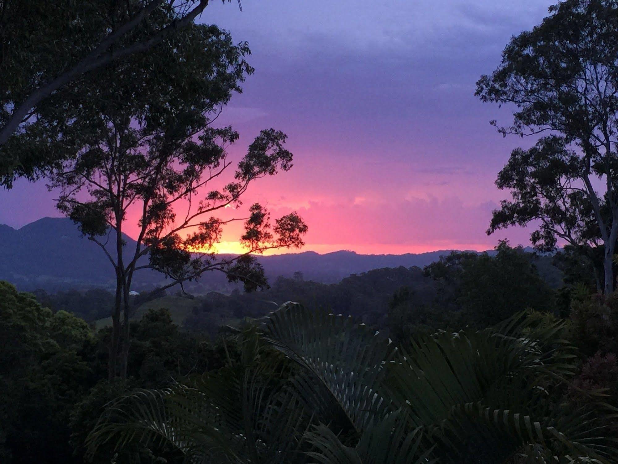 Phoenix Eumundi Bed&Breakfast Exterior foto